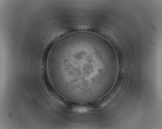 X0000113590743200909251135