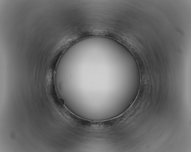 X0000113590744200909251135