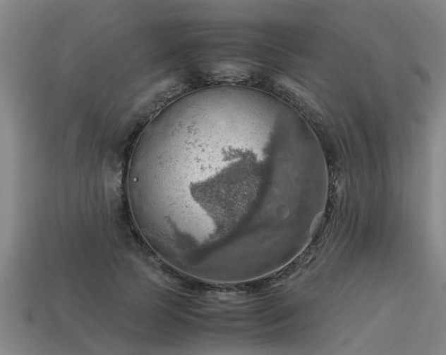 X0000113590745200909251135