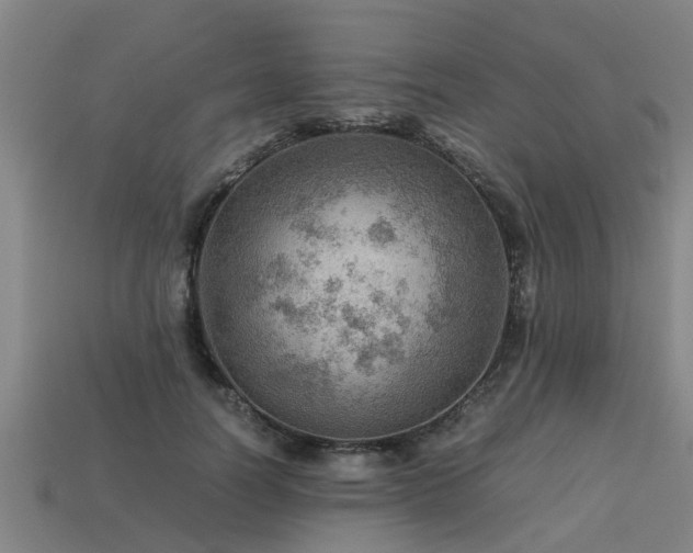 X0000113590746200909251135