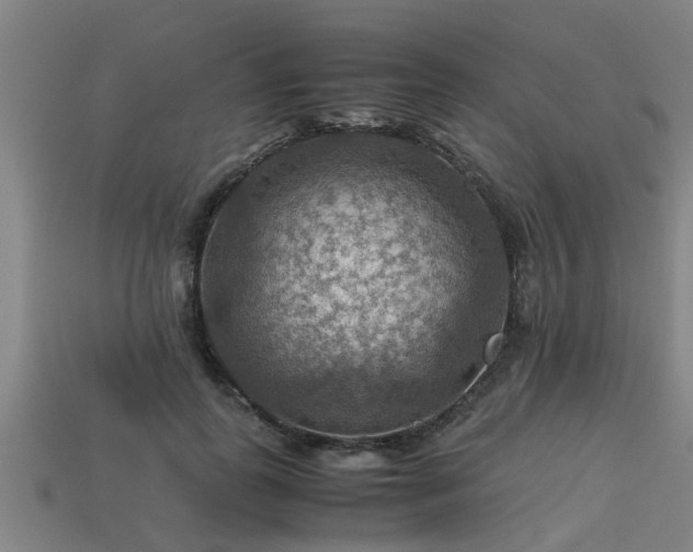 X0000113590747200909251135