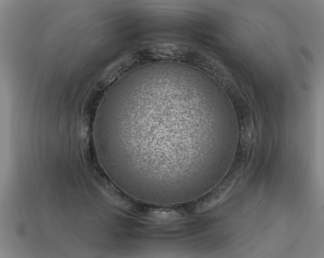 X0000113590749200909251136