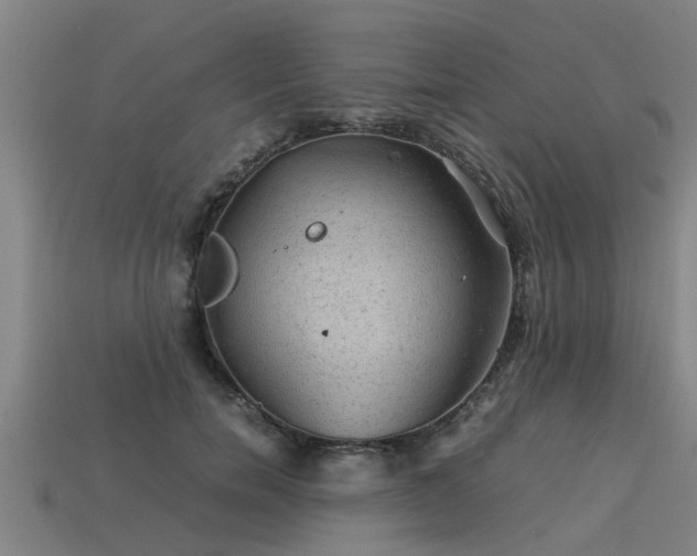 X0000113590750200909251136