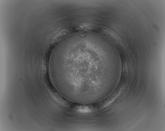 X0000113590751200909251136