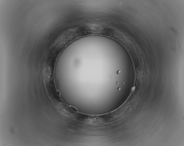 X0000113590752200909251136