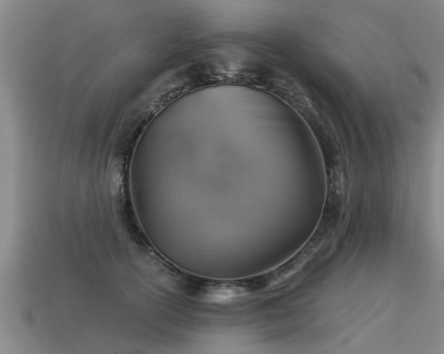 X0000113590754200909251136