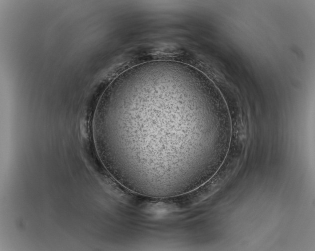 X0000113590755200909251136