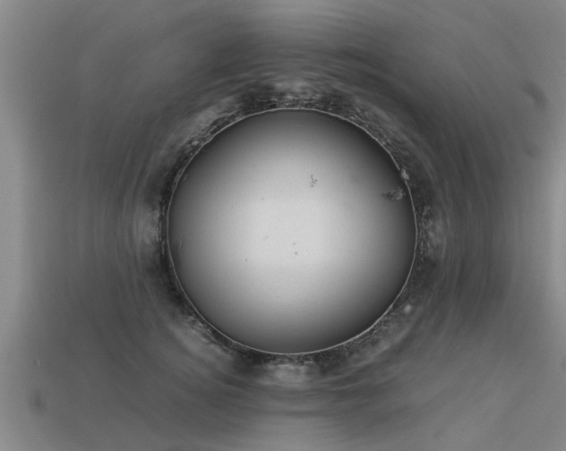 X0000113590756200909251136