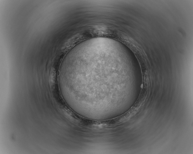 X0000113590760200909251136