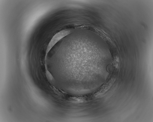 X0000113590763200909251136