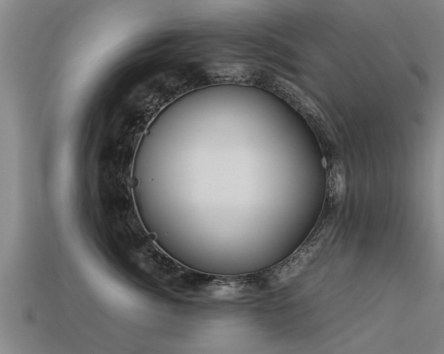 X0000113590764200909251136