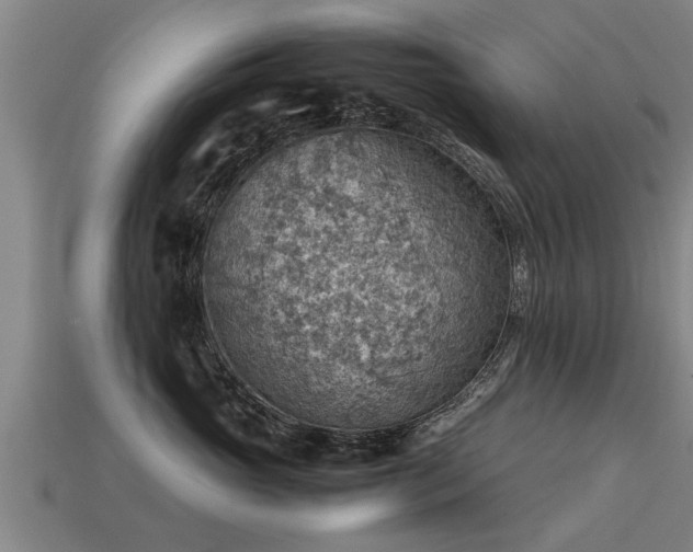 X0000113590765200909251136