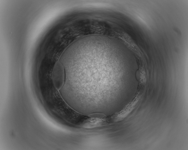 X0000113590766200909251136