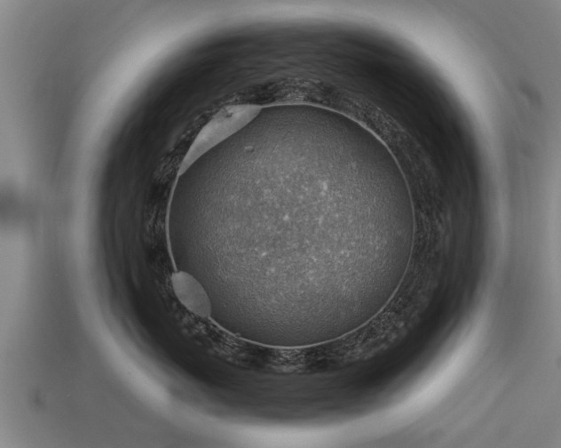 X0000113590767200909251136