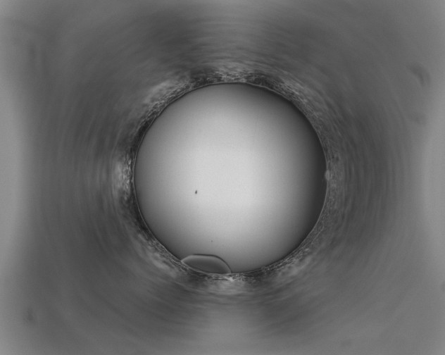 X0000113590768200909251136