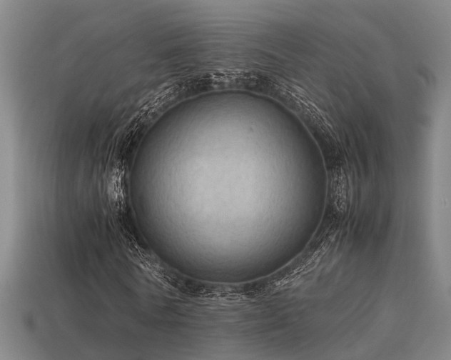 X0000113590770200909251135