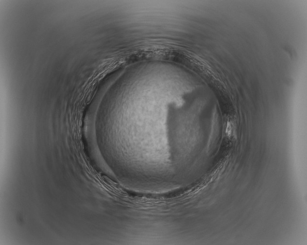 X0000113590771200909251135