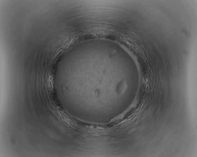 X0000113590772200909251135