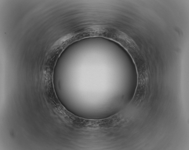 X0000113590773200909251135