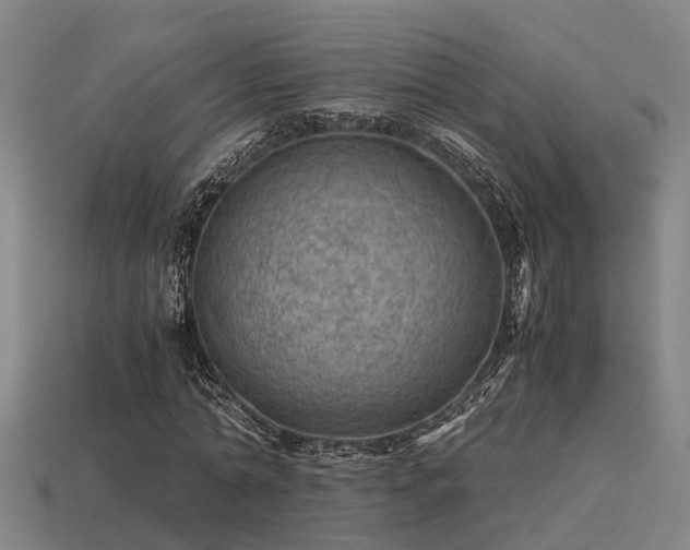 X0000113590774200909251135