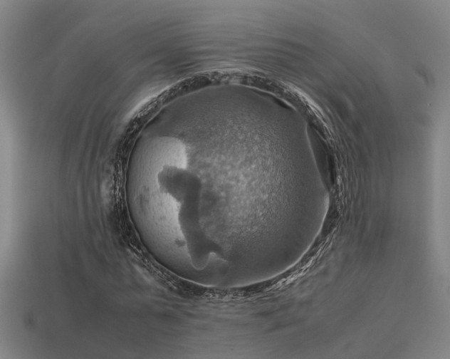 X0000113590775200909251135