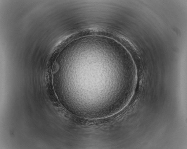 X0000113590776200909251135