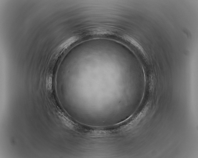 X0000113590777200909251135