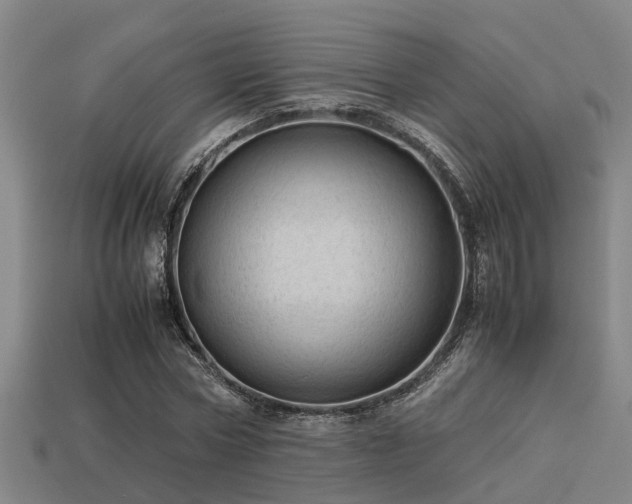 X0000113590778200909251135