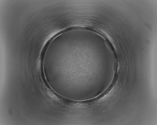 X0000113590779200909251135