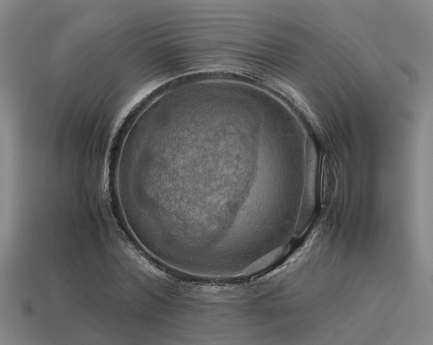 X0000113590780200909251135