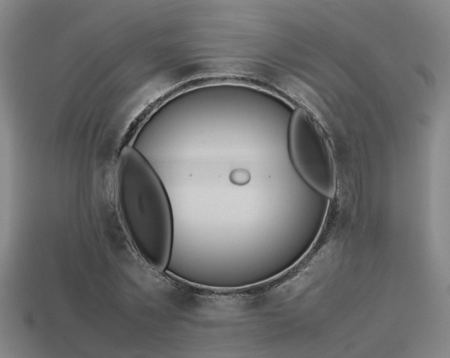 X0000113590781200909251135