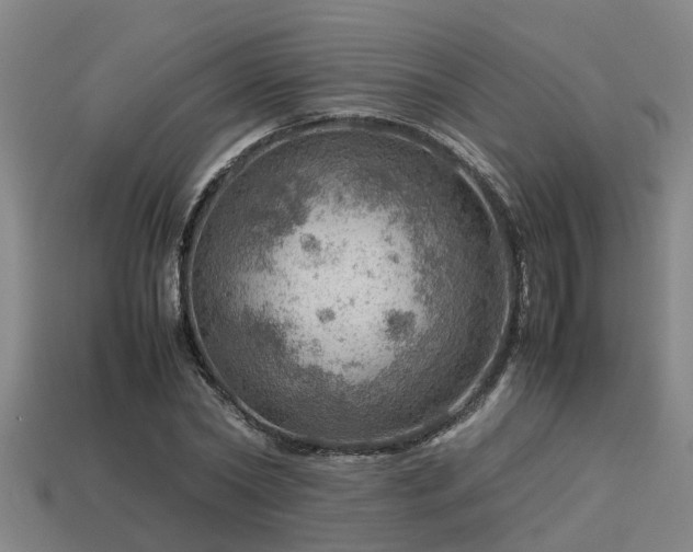 X0000113590782200909251135