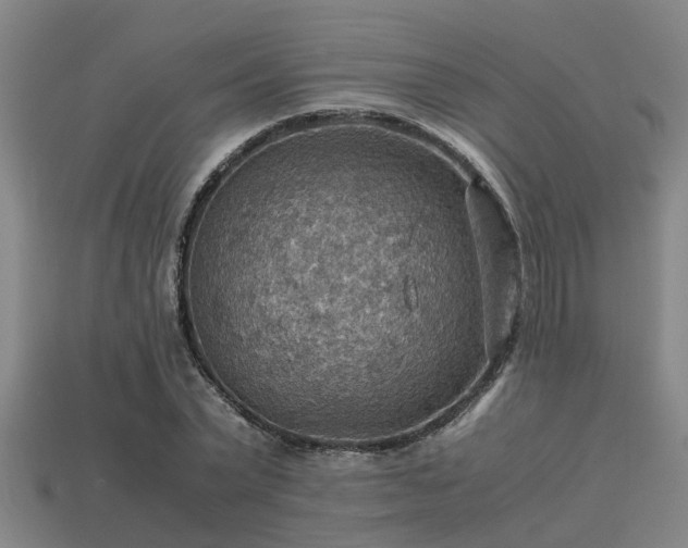 X0000113590783200909251135