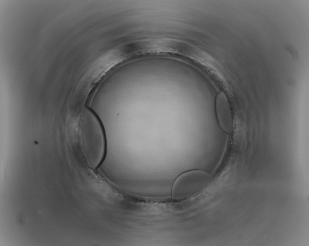 X0000113590785200909251135