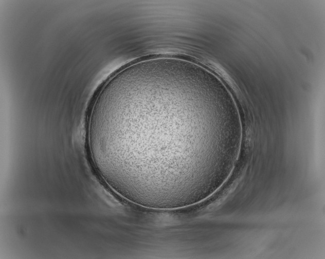 X0000113590787200909251135