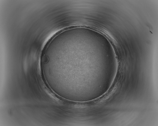 X0000113590788200909251135