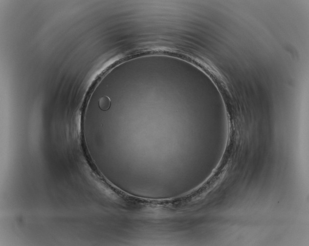 X0000113590790200909251135