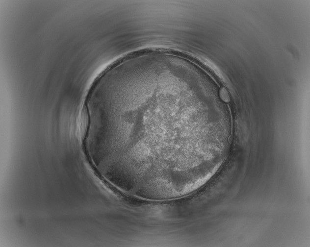 X0000113590791200909251135