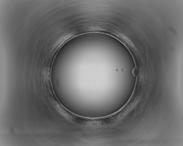 X0000113590793200909251135