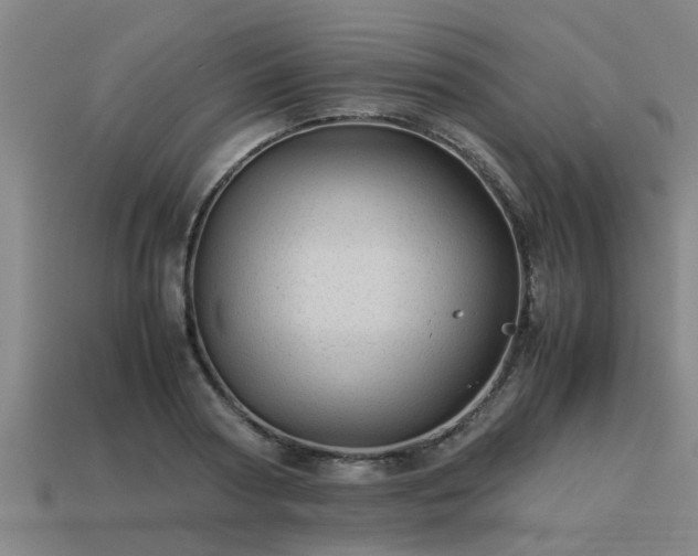 X0000113590794200909251135