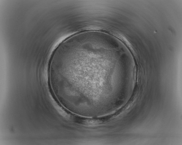 X0000113590795200909251135