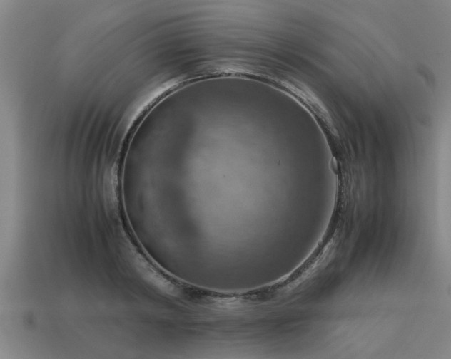 X0000113590798200909251135