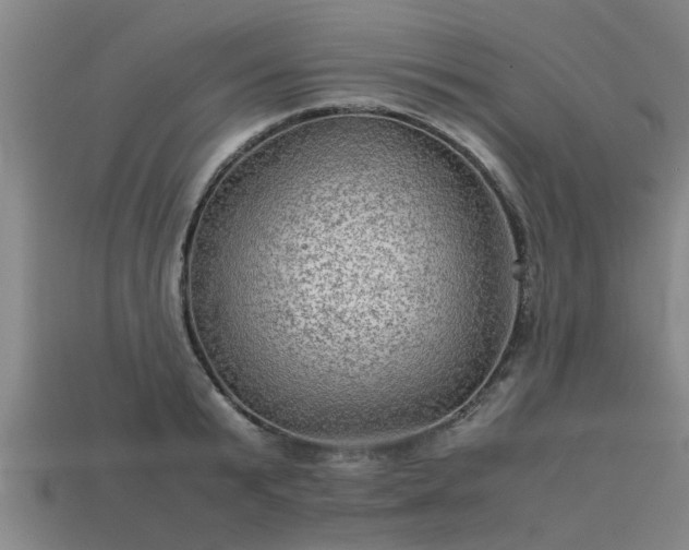 X0000113590799200909251135