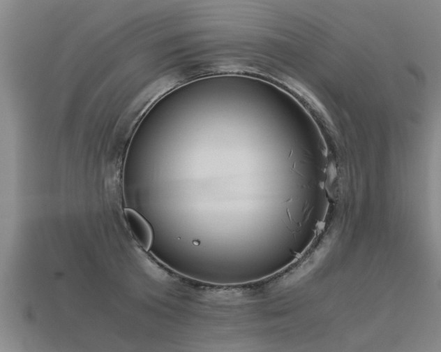 X0000113590801200909251135