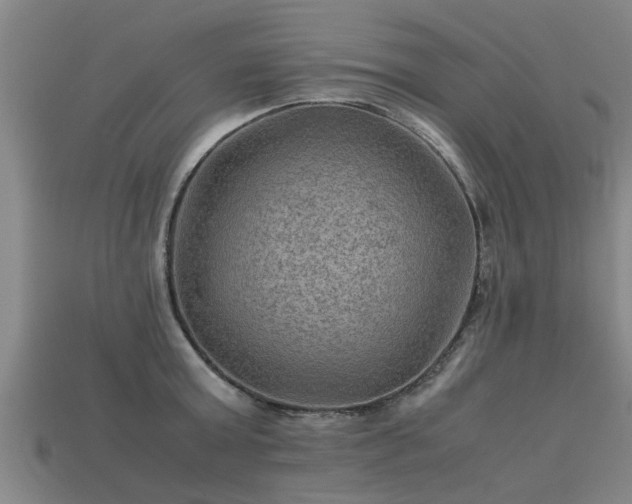 X0000113590803200909251135