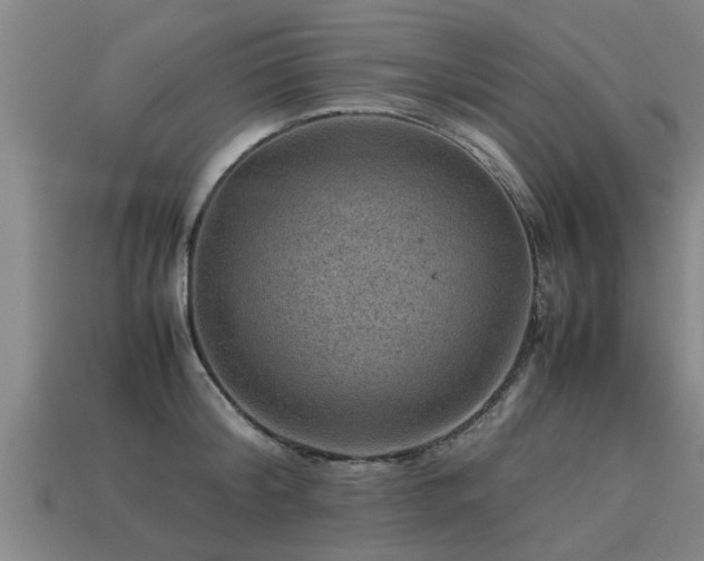 X0000113590804200909251135