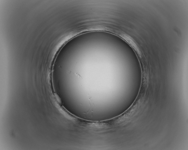 X0000113590805200909251135