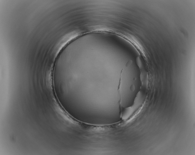 X0000113590806200909251135