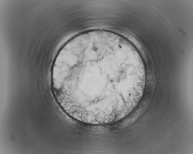 X0000113590807200909251135