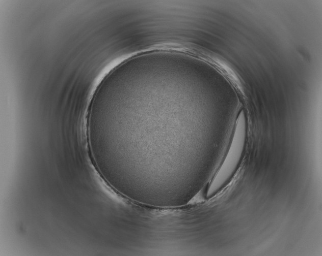 X0000113590808200909251135